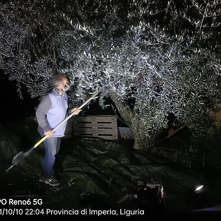 Agriturismo Monaci Templari سيبورجا المظهر الخارجي الصورة