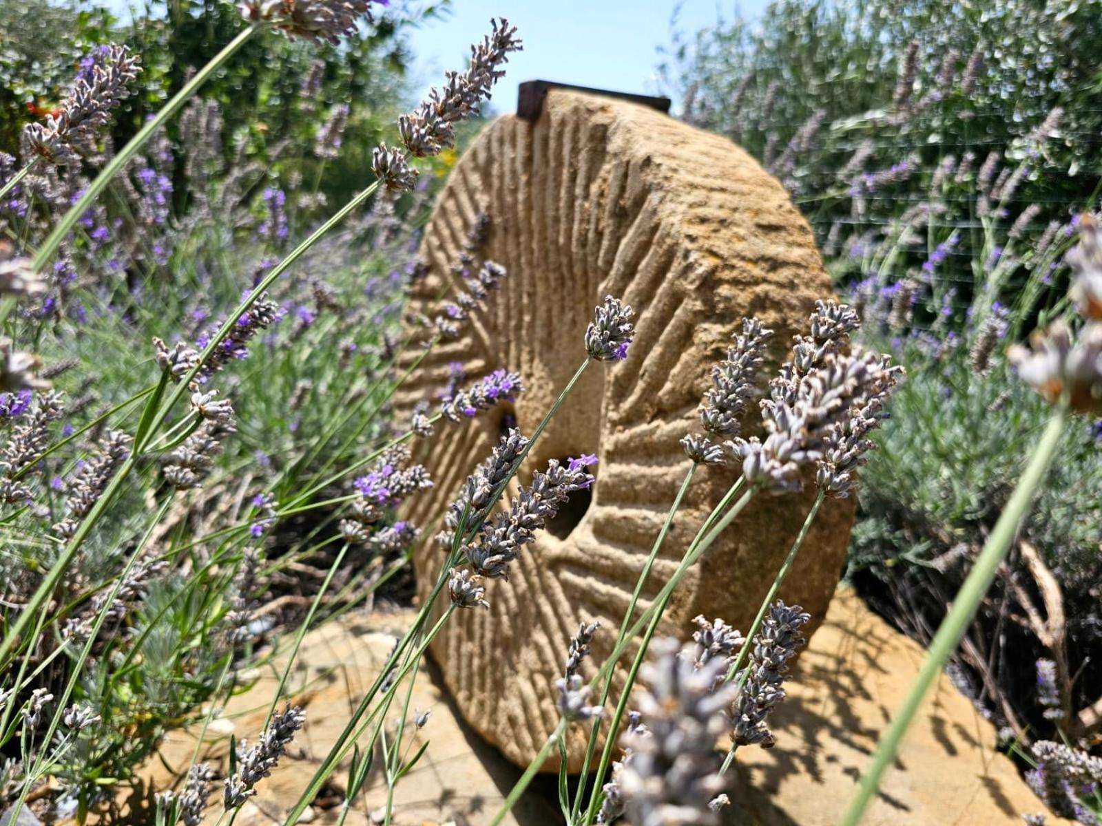 Agriturismo Monaci Templari سيبورجا المظهر الخارجي الصورة