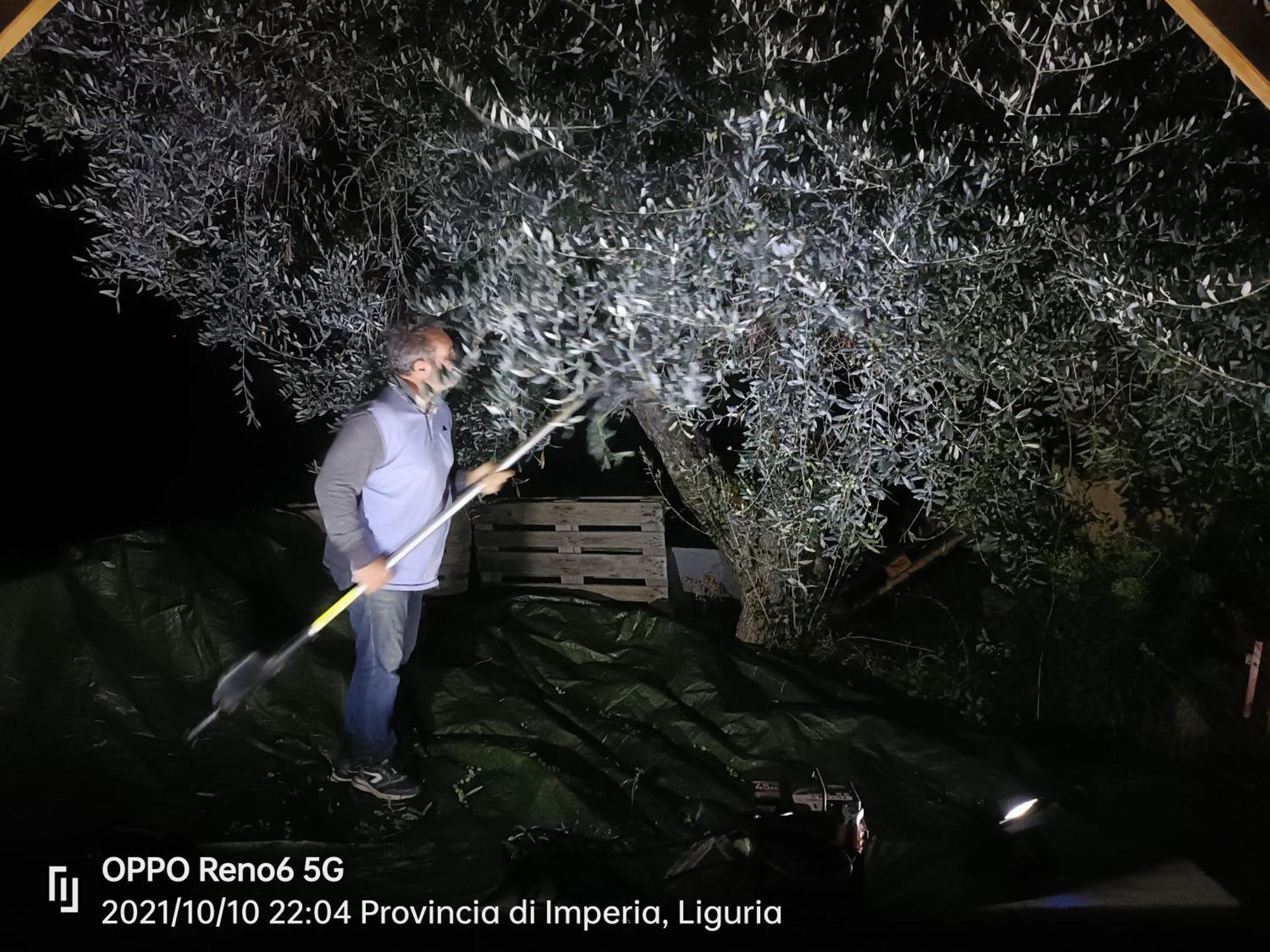 Agriturismo Monaci Templari سيبورجا المظهر الخارجي الصورة
