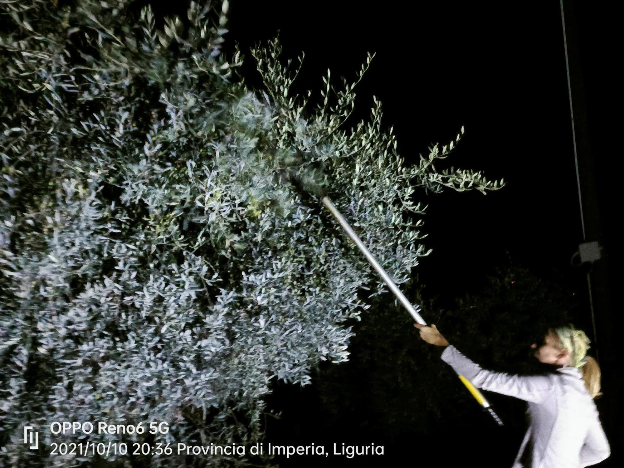 Agriturismo Monaci Templari سيبورجا المظهر الخارجي الصورة