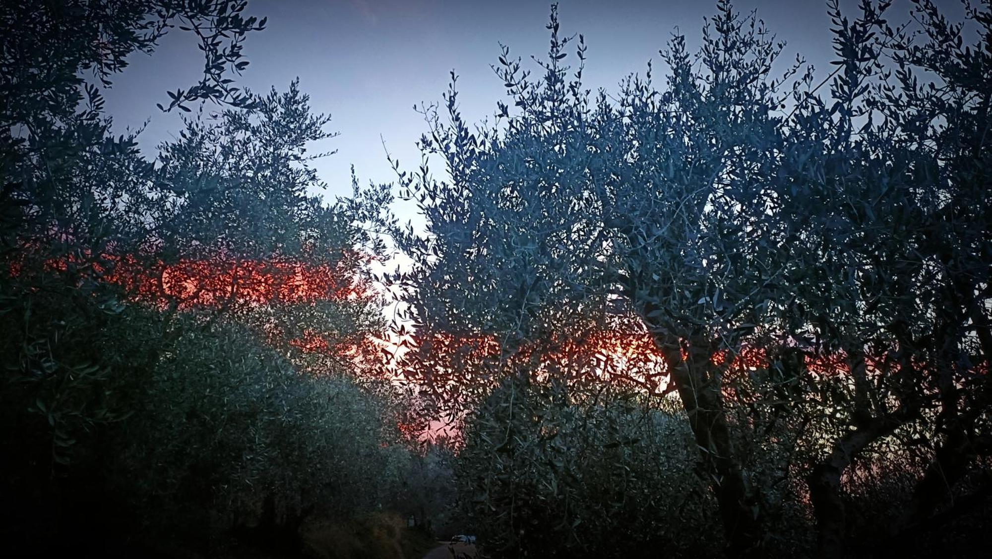 Agriturismo Monaci Templari سيبورجا المظهر الخارجي الصورة