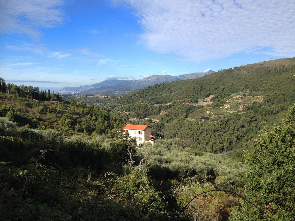 Agriturismo Monaci Templari سيبورجا المظهر الخارجي الصورة
