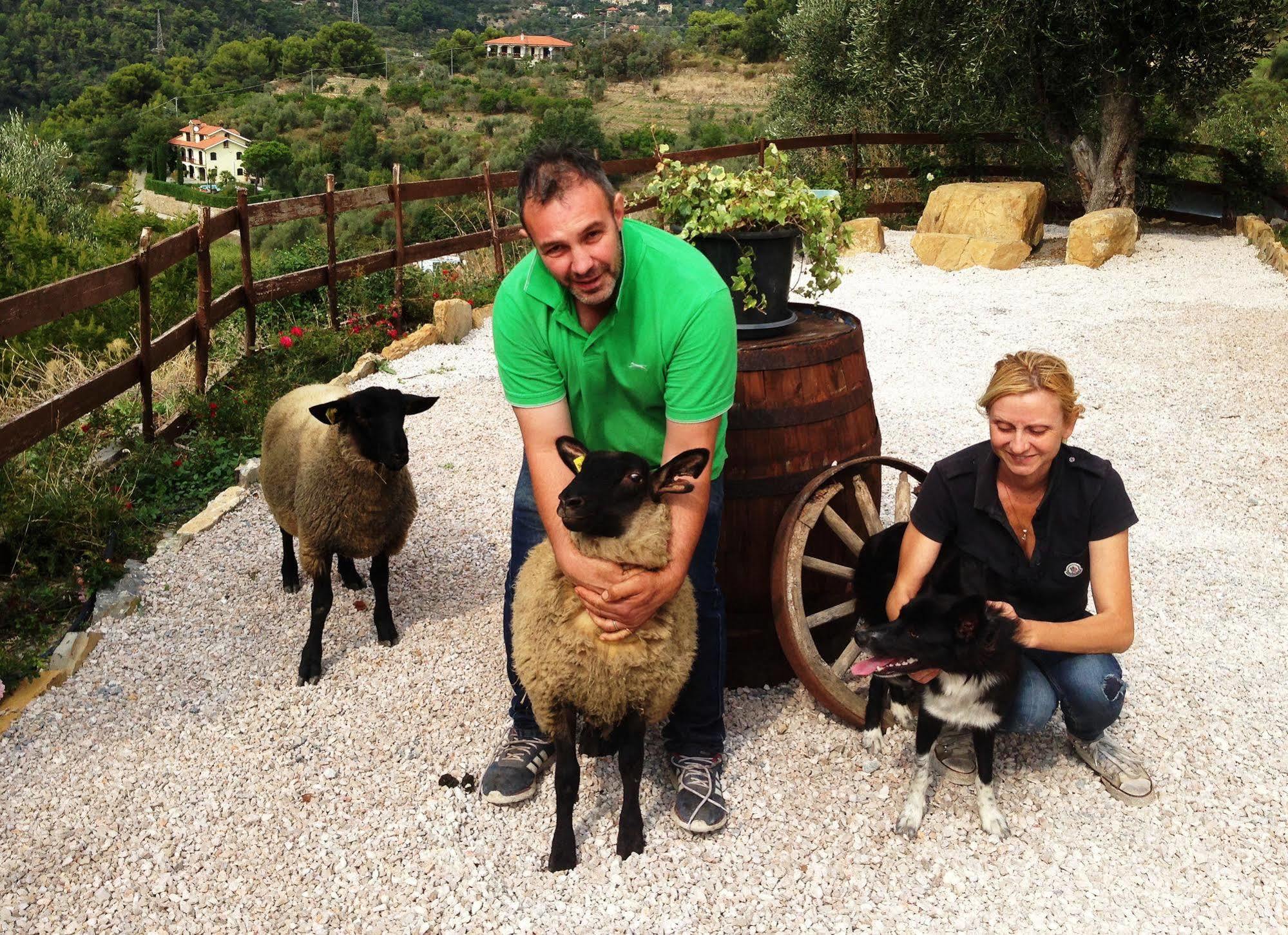 Agriturismo Monaci Templari سيبورجا المظهر الخارجي الصورة